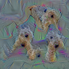 n02095314 wire-haired fox terrier